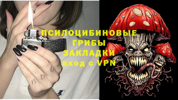 круглые Алексеевка