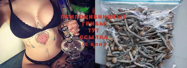 трава Алзамай